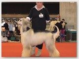 Astirkali's